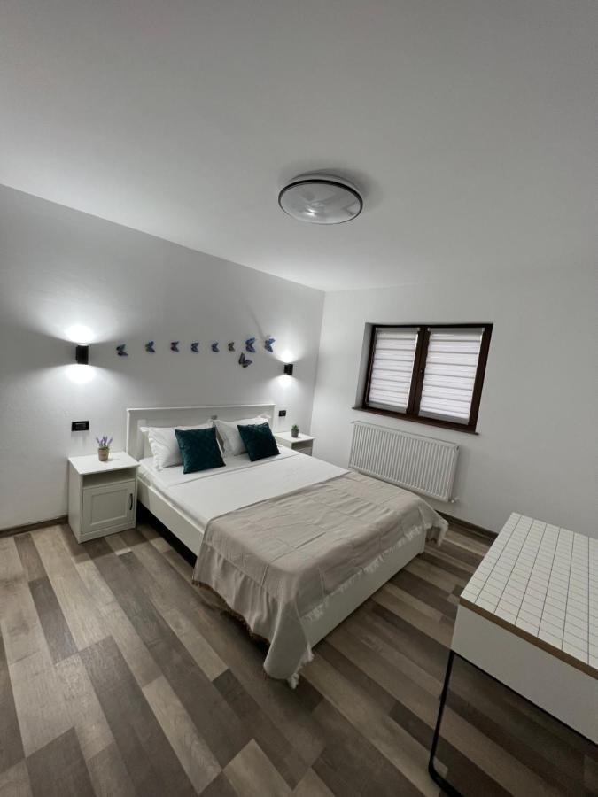 Sunny Luxury Home G. Enescu Suceava Exterior photo