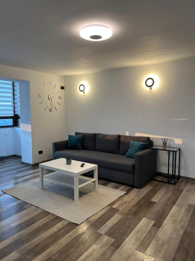 Sunny Luxury Home G. Enescu Suceava Exterior photo